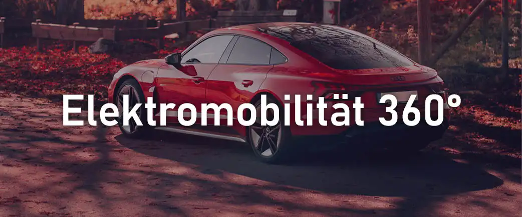 Hoppmann Elektromobilität 360
