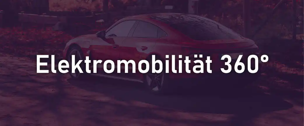 Hoppmann Elektromobilität 360