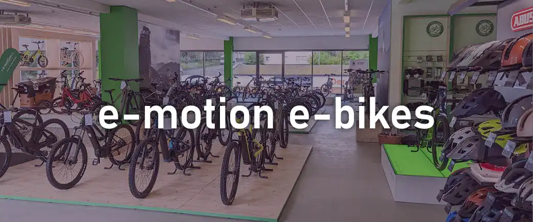 e-motion e-bike